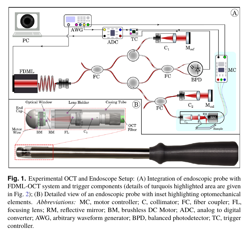 Optics Express Figure 1 showing the multi-megahertz OCT system, synchronization components, and endoscopic probe.