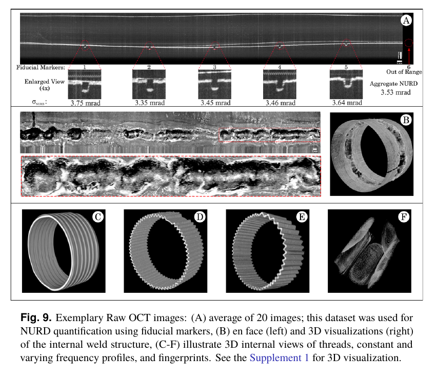 Optics Express Figure 9 showing raw OCT images used for distortion assessment and three-dimensional imaging examples.